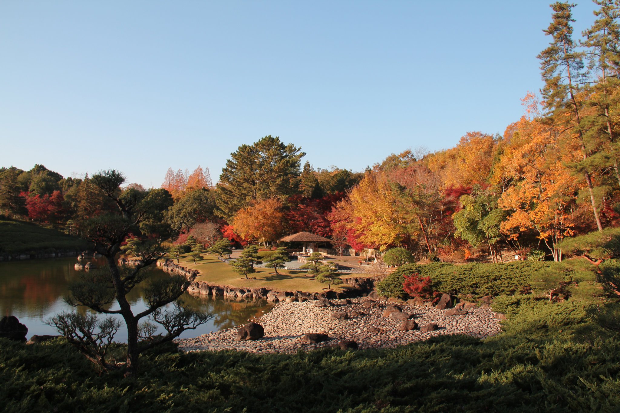🌳 아이치현 쇼와의 숲 (아이치켄 쇼와노모리) 이미지 1
